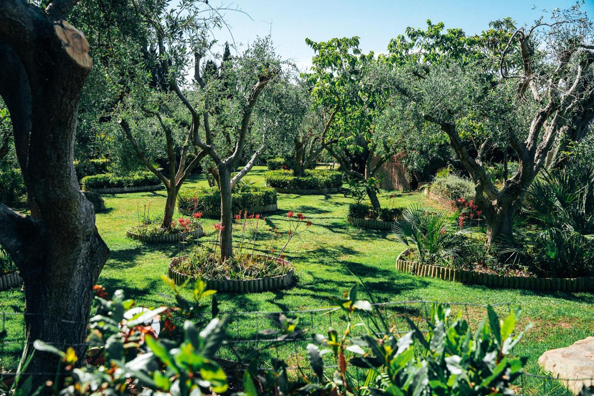 Residence Solemaremma Кастильоне-делла-Пеская Экстерьер фото