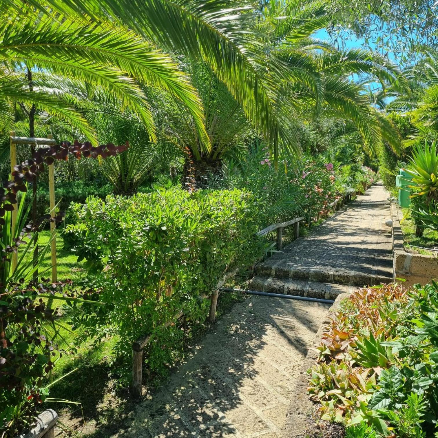 Residence Solemaremma Кастильоне-делла-Пеская Экстерьер фото